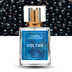 Voltar (Inspired By Creed Aventus)